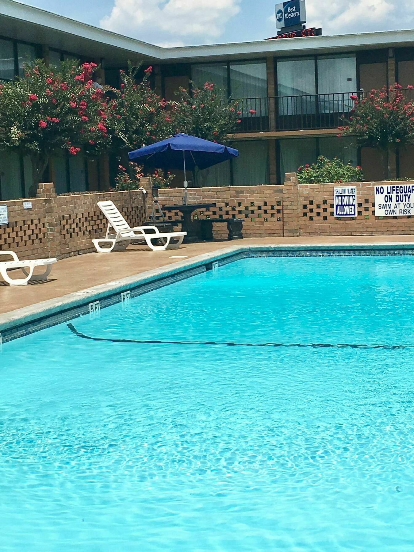 Best Western Greenville Airport מראה חיצוני תמונה